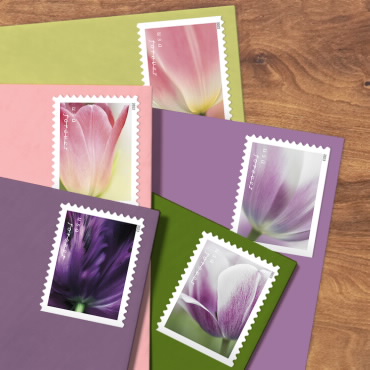 photo of tulip blossoms stamp