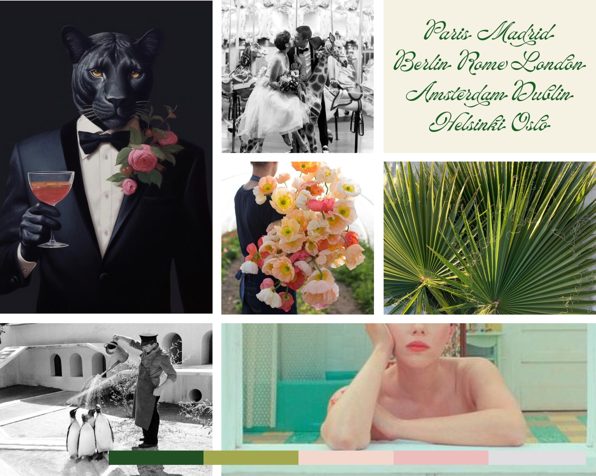 mood board for a formal zoo wedding featuring wes anderson colors, zoo animals, and tuxedos